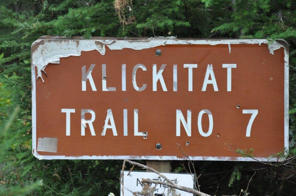 アメリカ先住民クリキタット族が使っていたKlickitat trail#7 は倒木とブルーベリーの薮深い原始的なトレイルだった。