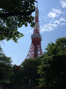 CP11東京タワー90km過ぎました。サメが大分弱ってきました